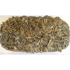 Dakota Çekirdek Çiğ 