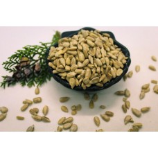 Ay Çekirdeği İçi 